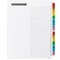 Office Essentials 1-31 Tab Table 'n Tabs Dividers for 3 Ring Binders, Printable Table of Contents, Multicolor Tabs, 3 Sets (21892)